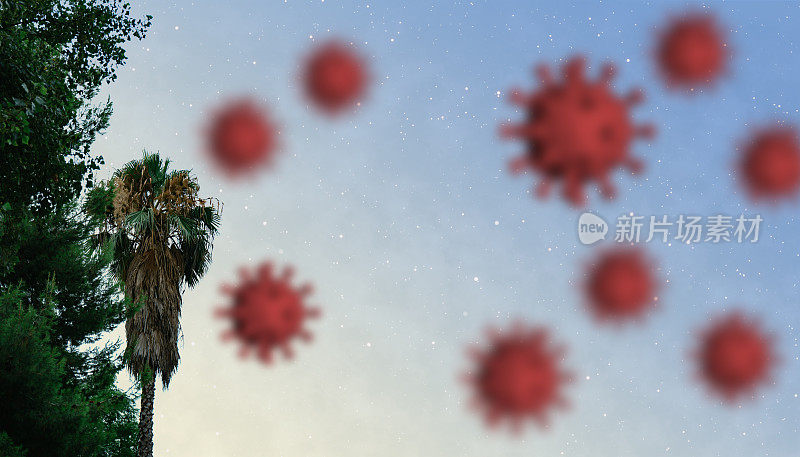 Covid-19疫情或新型冠状病毒，2019-nCoV，病毒在棕榈树的背景。Covid - 19-NCP病毒:BEACH地区疾病的传染与传播。流行病和病毒流行病。